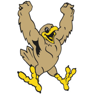 AR EAGLE 21 RC Thumbnail