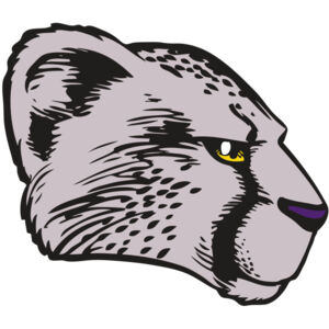 BAW CHEETAH 20 RC Thumbnail