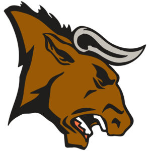 AR BULL 38 RC Thumbnail