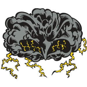 BAW STORM 11 RC Thumbnail