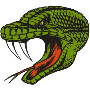 BAW SNAKE 14 RC Thumbnail