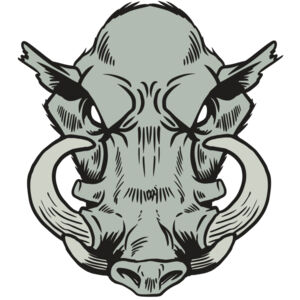 AR20 RAZORBACK 38 RQC Thumbnail