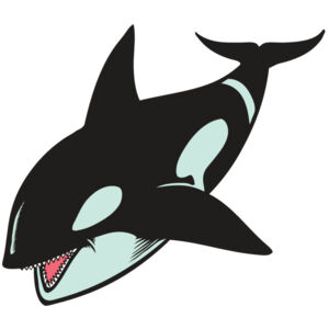 BAW KLRWHALE 02 RC Thumbnail