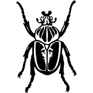 BEETLE04 Thumbnail
