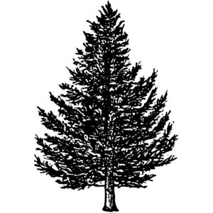 TREE0005 Thumbnail