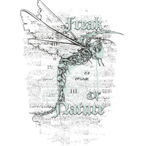 designious t shirt design 361 Thumbnail