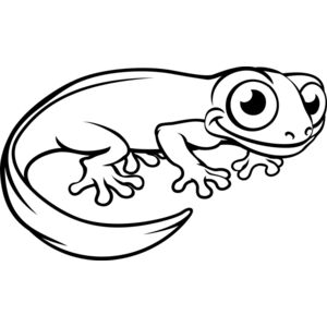Newt   Clipart 3 Thumbnail