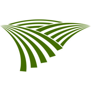 71 Rice Field Thumbnail