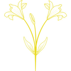 Flowers 9 Thumbnail