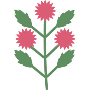 Flowers 4 Thumbnail
