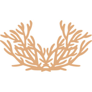 Sea Plants Thumbnail
