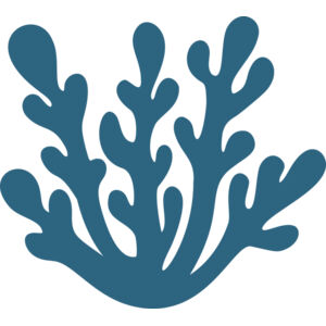 Sea Plants 4 Thumbnail