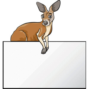 Kangaroo Frame 2 Thumbnail