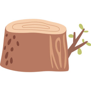Autumn Fall Tree Stump 2 Thumbnail