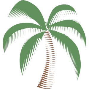 Summer Palm Tree 8 Thumbnail