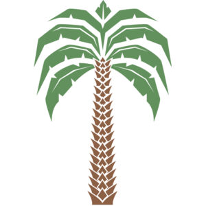 Summer Palm Tree 11 Thumbnail