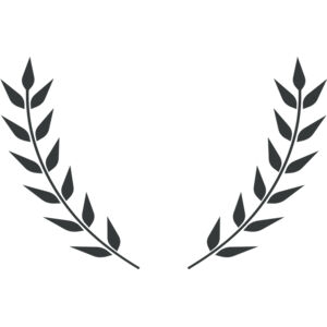 Branch Wreath 27 Thumbnail