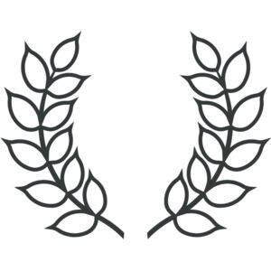 Branch Wreath 20 Thumbnail