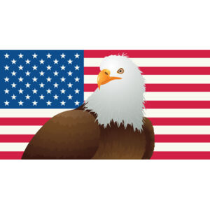 USA America Flag Bald Eagle 2 Thumbnail