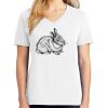 1-DAY RUSH NO MINIMUM Ladies V-Neck Short Sleeve T-Shirt Thumbnail