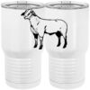 20 oz. Tall Stainless Steel Vacuum Insulated Tumbler White Thumbnail