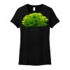 Women's Perfect Weight ® Tee Thumbnail