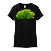 Women's Perfect Weight ® Tee Thumbnail