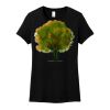 Women's Perfect Weight ® Tee Thumbnail